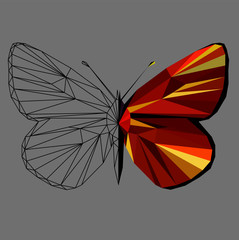 Butterfly polygonal low poly wireframe isolated on grey background,vector illustration. Insect with geometry triangle.Suitable for printing on a t-shirt.Abstract butterfly of red and yellow  colors.