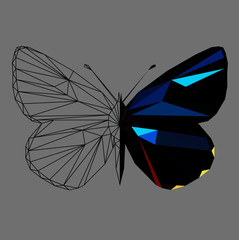 Butterfly polygonal low poly wireframe isolated on grey background,vector illustration. Insect with geometry triangle.Suitable for printing on a t-shirt.Abstract butterfly of black and blue colors.