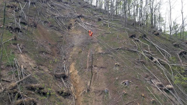 Aerial - Felled timber brought down by skyline to the yarding area