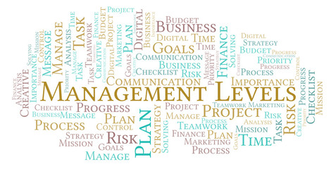 Management Levels word cloud, made with text only.