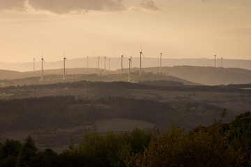 Winpark Kaufunger Wald im Abendlicht