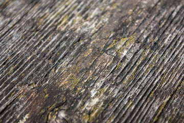 Trama texture del legno con insenature