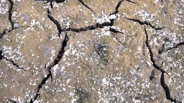 drought-stricken lands,soil that is cracked due to drought, steadicam shot.