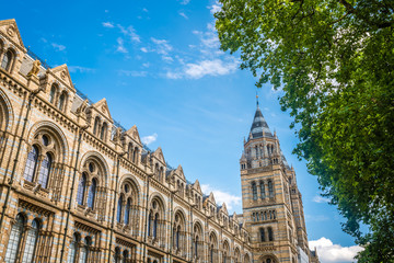 Towers of the Natural History Museum
