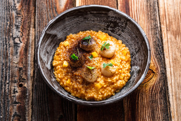 Pumpkin risotto with scallops in a bowl, wooden background, copy space.