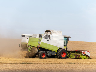 Fototapeta premium Combine harvesters on the field. Combine harvest on grain field. Summer harvest and blue sky. Harvesting on grain field. Harvests wheat in the fields in summer.