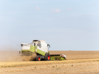Obraz premium Combine harvesters on the field. Combine harvest on grain field. Summer harvest and blue sky. Harvesting on grain field. Harvests wheat in the fields in summer.