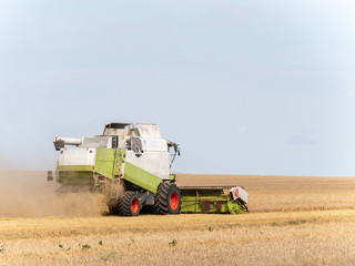Obraz premium Combine harvesters on the field. Combine harvest on grain field. Summer harvest and blue sky. Harvesting on grain field. Harvests wheat in the fields in summer.