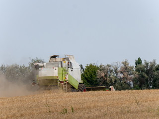 Combine harvesters on the field. Combine harvest on grain field. Summer harvest and blue sky. Harvesting on grain field. Harvests wheat in the fields in summer.
