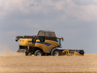 Yellow combine harvesters on the field. Combine harvest on grain field. Summer harvest and blue sky. Harvesting on grain field. Harvests wheat in the fields in summer.