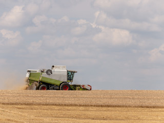 Obraz premium Combine harvesters on the field. Combine harvest on grain field. Summer harvest and blue sky. Harvesting on grain field. Harvests wheat in the fields in summer.