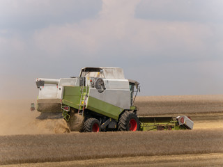 Obraz premium Combine harvesters on the field. Combine harvest on grain field. Summer harvest and blue sky. Harvesting on grain field. Harvests wheat in the fields in summer.