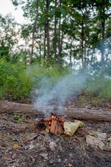 Bonfire in the forest
