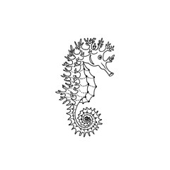 Vector illustration of seahorse silhouette. Hand drawing seahorse