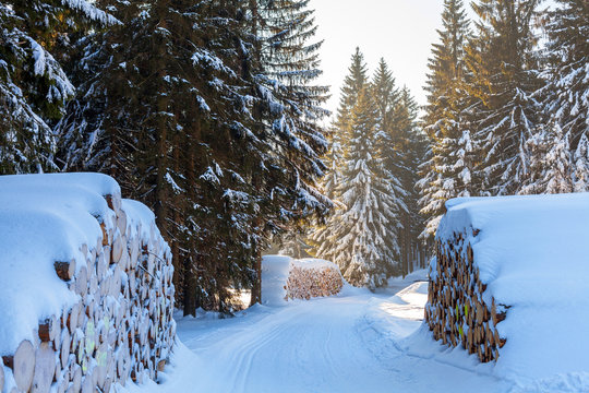 Fototapeta Winterwald im Sonnenschein