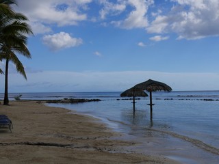 Thatched umbrellas at a beach in a tropical island