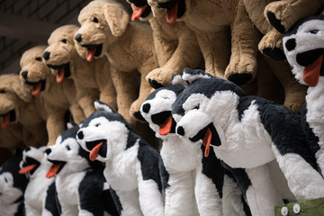 Cuddly soft toys of husky dogs from the kids shop for sale in a gift shop