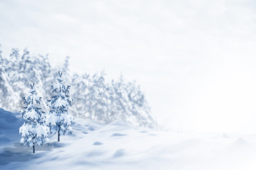 Fototapeta na wymiar Frozen winter forest with snow covered trees.