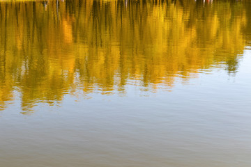Fototapeta na wymiar Surface of lake with reflection of golden forest, horizontal background with copy space