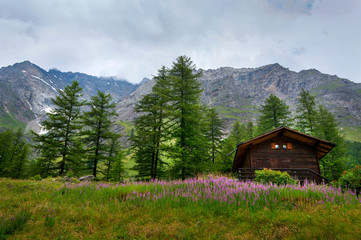 Fototapeta na wymiar Typical wooden Home in alps Mountains, Italy