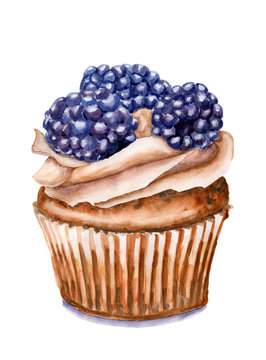 Watercolor cupcake with cream and mulberry. Cake is isolated on white background. Muffin for poster for cafe and pastry shop.
