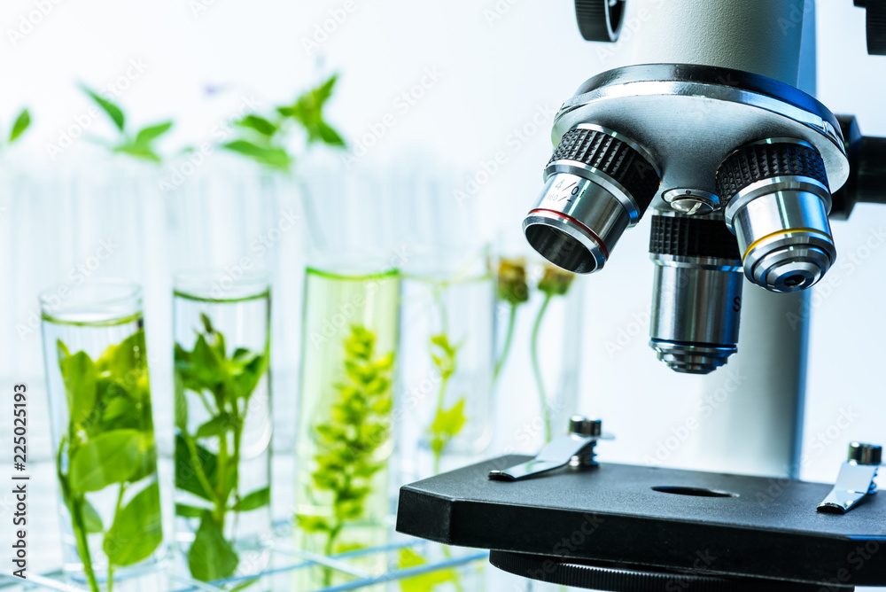 Wall mural microscope and young plant in science test tube , lab research biochemistry , biotechnology concept