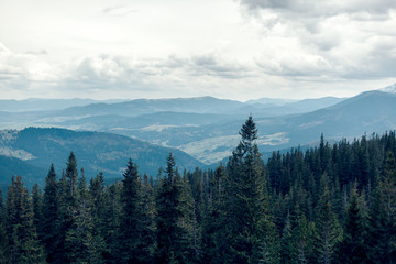 landscape in mountains Carpathians Ukraine