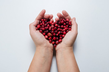 hands holding a cranberry in the shape of a heart