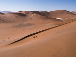 Fototapeta na wymiar Namibia desert sand dunes, Namibia, Africa