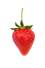 isolated strawberry on white background