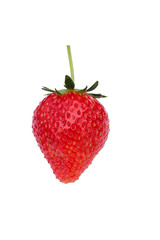 isolated strawberry on white background