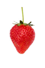 isolated strawberry on white background
