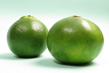 green tangerine on green background