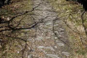 Texture of the path