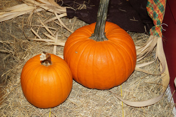 pumpkins on straw