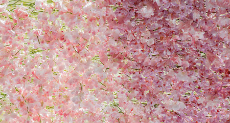 Naklejka premium Many pink orchid flowers adorn the decor, decorate the tone of t