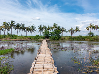 view of bamboo bridge on the lotus pond in Suphan Buri , Thailand