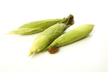 organic ear of corn on a white