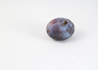 Bad Plum on the white background 