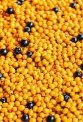 berries of sea buckthorn and black chokeberry. background.