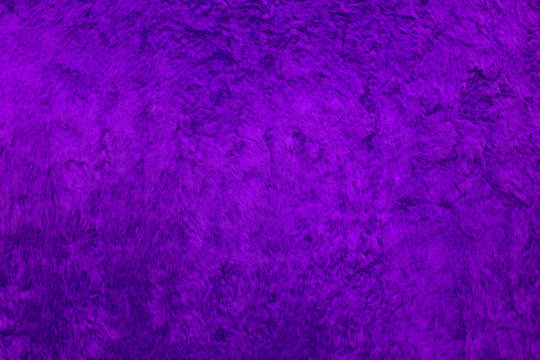 Abstract ultraviolet, violet luxury velvet background. Velvet plush soft deluxe texture