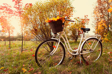 White retro style bicycle with basket with orange, yellow and green leaves, parked in the colorful...