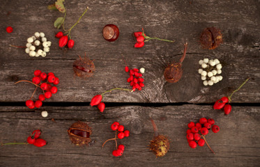 autumn background with rowan ,rose hip,chestnuts and quince on the rustic background