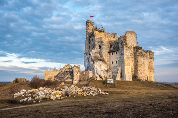 Zamek w Mirowie - obrazy, fototapety, plakaty