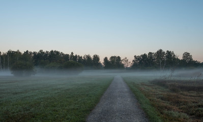 Fototapeta premium Nebellandschaft am Pfäffikersee