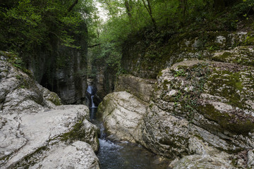 Obraz premium mountain stream in the forest