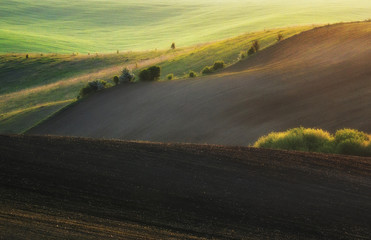 Fototapeta na wymiar picturesque hilly field. golden ground of corrugated field