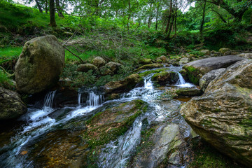 small waterfall in the forest
