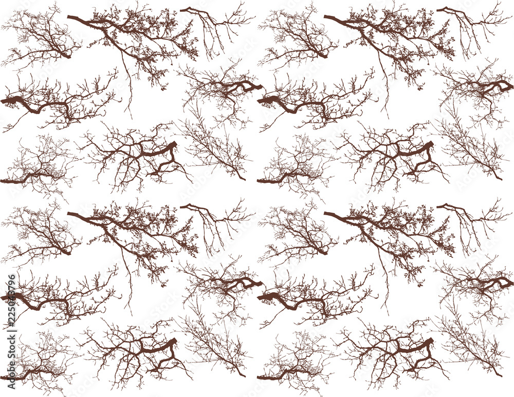 Wall mural seamless pattern with tree branches silhouette (vector illustration).