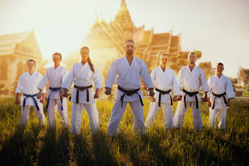 Male and female karate group against temple